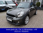 MINI Paceman 2013