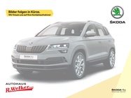 Skoda Karoq 2019