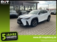 Lexus UX 2023