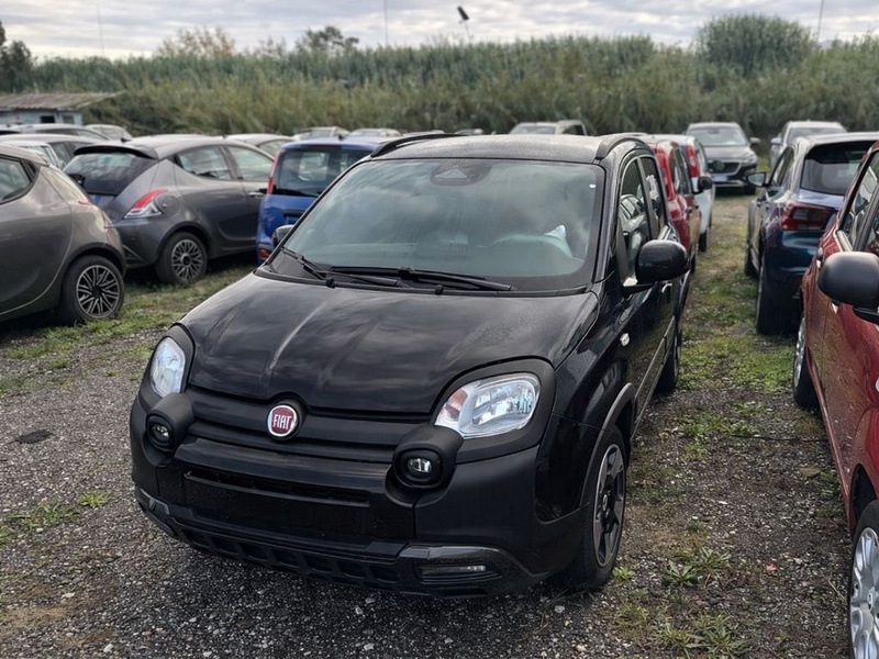 Fiat Other
