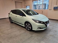 Nissan Leaf 2018