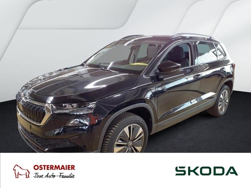 Skoda Karoq 2025