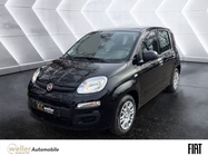 Fiat Panda 2025