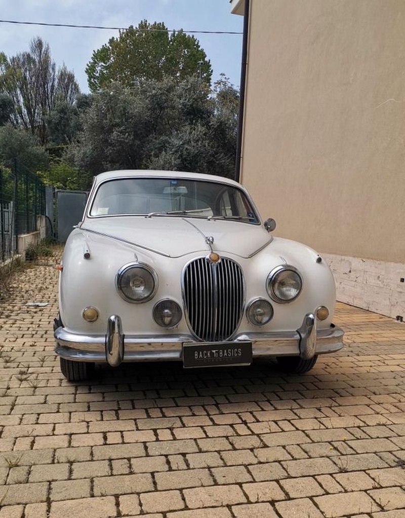 Jaguar Other