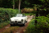 Alfa Romeo Other 1965