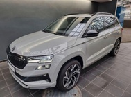 Skoda Karoq 2022