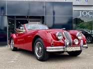 Jaguar XK 1955
