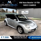 Volkswagen New Beetle 2007