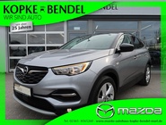 Opel Grandland 2019