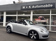 Volkswagen Beetle 2014