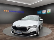 Skoda Octavia 2022