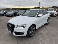 Audi SQ5 2016