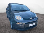 Fiat Panda 2022