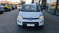 Fiat Panda 2021