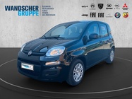 Fiat Panda 2025