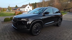 Skoda Karoq 2020