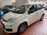 Fiat Panda 2019