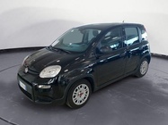 Fiat Panda 2024