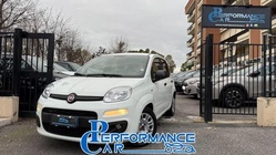 Fiat Panda 2021