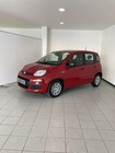Fiat Panda 2025