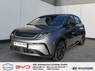 BYD Other 2025