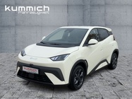 BYD Dolphin 2025