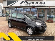 Fiat Panda 2024