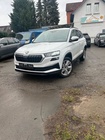 Skoda Karoq 2022