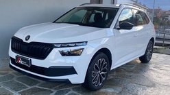 Skoda Kamiq 2024