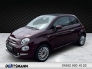 Фото 0