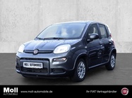 Fiat Panda 2023