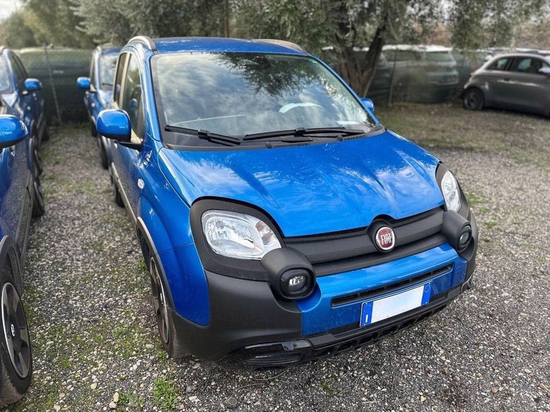 Fiat Other