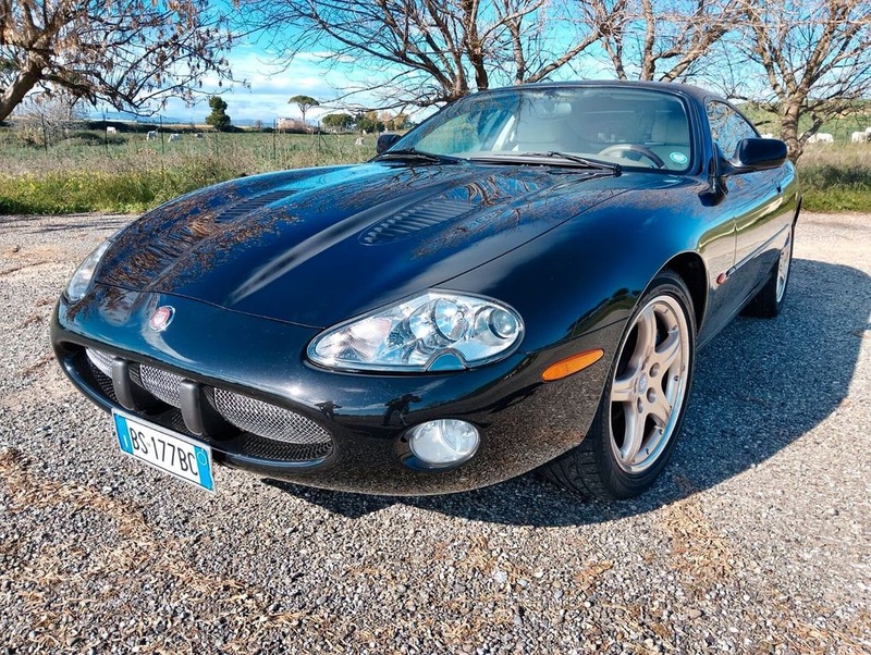 Jaguar Other