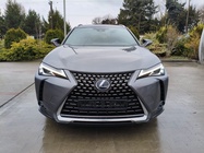 Lexus UX 2021