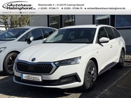 Skoda Octavia 2023
