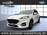 Ford Kuga 2022