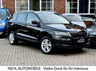 Skoda Karoq 2020