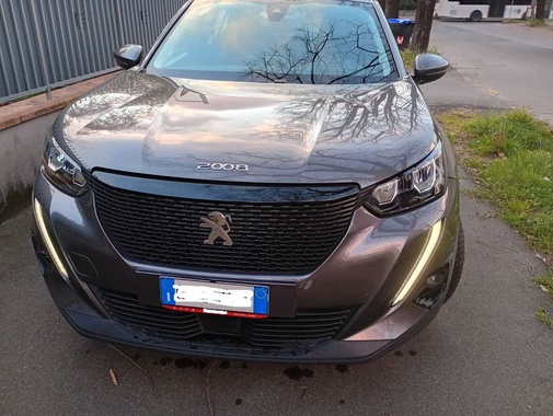 Peugeot 2008 2020