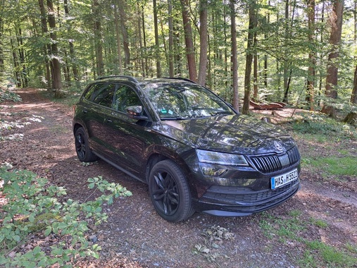 Skoda Karoq 2019