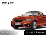 BMW 2 Series 2019