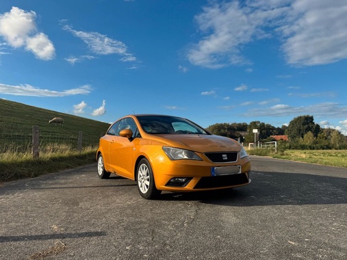 Seat Ibiza 2012