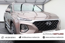 Hyundai Santa Fe 2020
