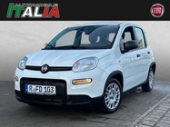 Fiat Panda 2024