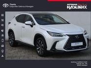 Lexus NX 2024