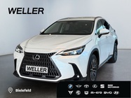 Lexus NX 2025