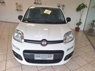 Fiat Panda 2021