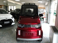 Microcar Other 2025