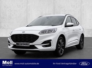 Ford Kuga 2024