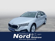 Skoda Octavia 2022