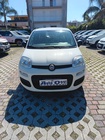 Fiat Panda 2019